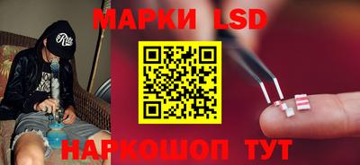 дурь Берёзовский