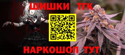 спайс Гагарин