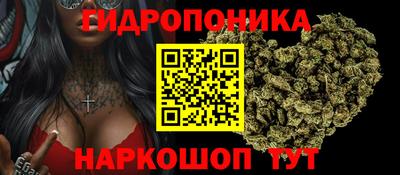 спайс Гагарин