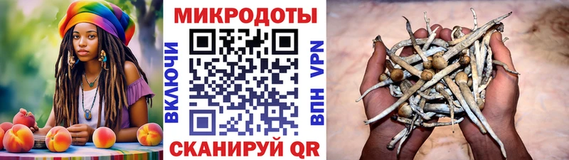 MEGA онион  Десногорск  Галлюциногенные грибы Psilocybe 