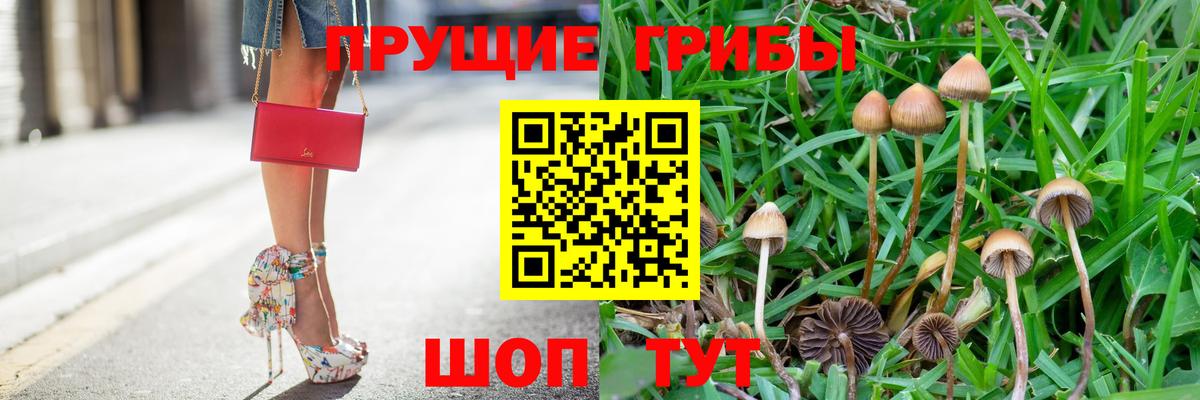 Псилоцибиновые грибы GOLDEN TEACHER  Вход с VPN  Галлюциногенные грибы Psilocybe  Десногорск 